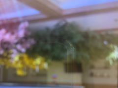 -悠然湯·汗蒸汤泉会馆