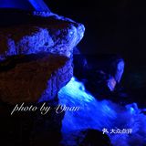 大店切记预约，我们没约只能拿号等
