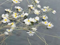 -丽江泸沽湖景区