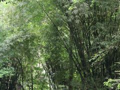 -樱桃山旅游景区