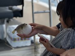 -小猫钓鱼海钓俱乐部(椰梦长廊店)