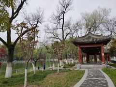 -莲湖公园