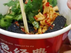 -黑色经典臭豆腐·湖南特产(坡子街店)