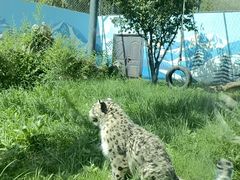 -青藏高原野生动物园
