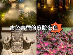 -大妙火锅·非物质文化遗产(东湖公园店)