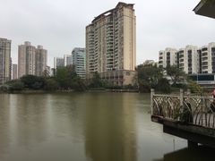 -四海公园(南山区)