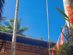 -海南槟榔谷黎苗文化旅游区