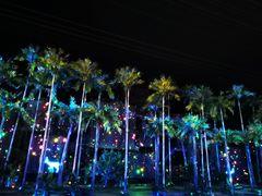 -三亚红色娘子军演艺公园景区