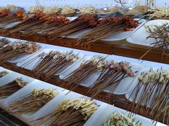 -镇江龙·火锅串串(武侯祠店)