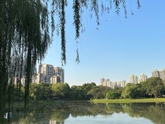 -堤角公园