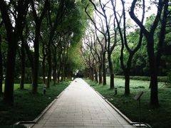-宋庆龄陵园