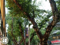 -喜茶(上海淮海中路渔阳里店)