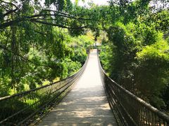 -南宁良凤江国家森林公园