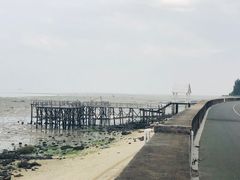 -北海金海湾红树林生态旅游区