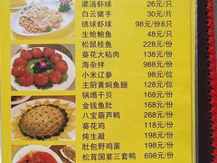 -丁老爷子苏香圆
