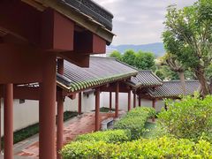 -广州神农草堂中医药博物馆