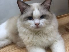 -卡朋西餐(悦汇城店)