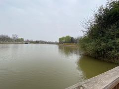 -西安浐灞国家湿地公园