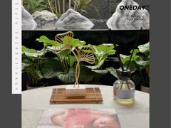 -宫七SPA·高端Massage(浦东大道店)