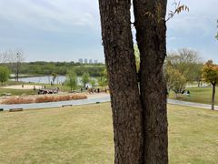 -盘龙城国家考古遗址公园