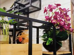 -GARDEN studio