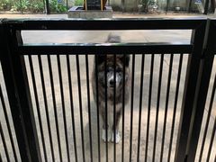 -TrueLove @ Neverland (Husky Cafe)