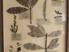 -月栖华明-云间草堂清茶馆(泗泾古镇店)