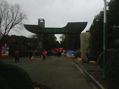 -溱湖国家湿地公园