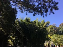 -红螺寺