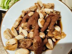 -鸽子窝(青塔店)