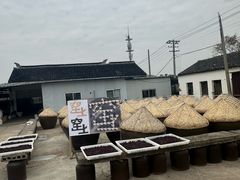 -苏州市吴中区光福窑上花果蜜饯厂