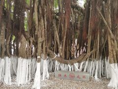 -胡里山炮台