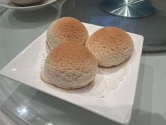 雪顶雄峰-利苑酒家(金宝店)