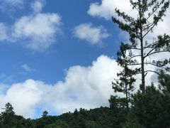 -五营红松林海景区