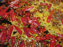 牛油红锅-二荆条·蜀鲜汇城市森林火锅