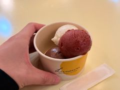 -LUNEURS月乐诗 La Glace(环贸店)