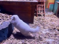 -上海海昌海洋公园-冰山北极馆