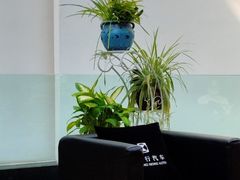 -奔驰利星行(北京花乡店)