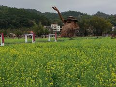 -红山村