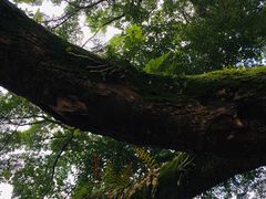 -桂林独秀峰王城景区