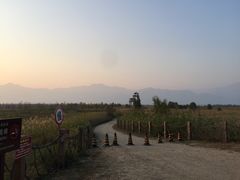 景点-野鸭湖国家湿地公园