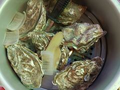 -小竹签烤肉纸包鱼小龙虾(唐韵路店)