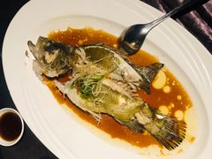 清蒸桂鱼-蟹榭·本帮江浙菜·蟹宴(五角场合生汇商场店)