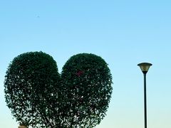 -东莞植物园