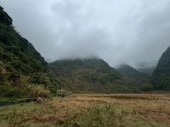 -靖西鹅泉风景区