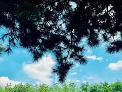 -汉长安城未央宫国家考古遗址公园