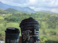 -雾与山茶(大禹城店)