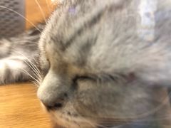 -南湖胖子砂锅(红庙店)