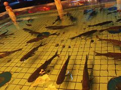 -力力渔港涉外店