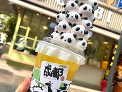 -成都动物园